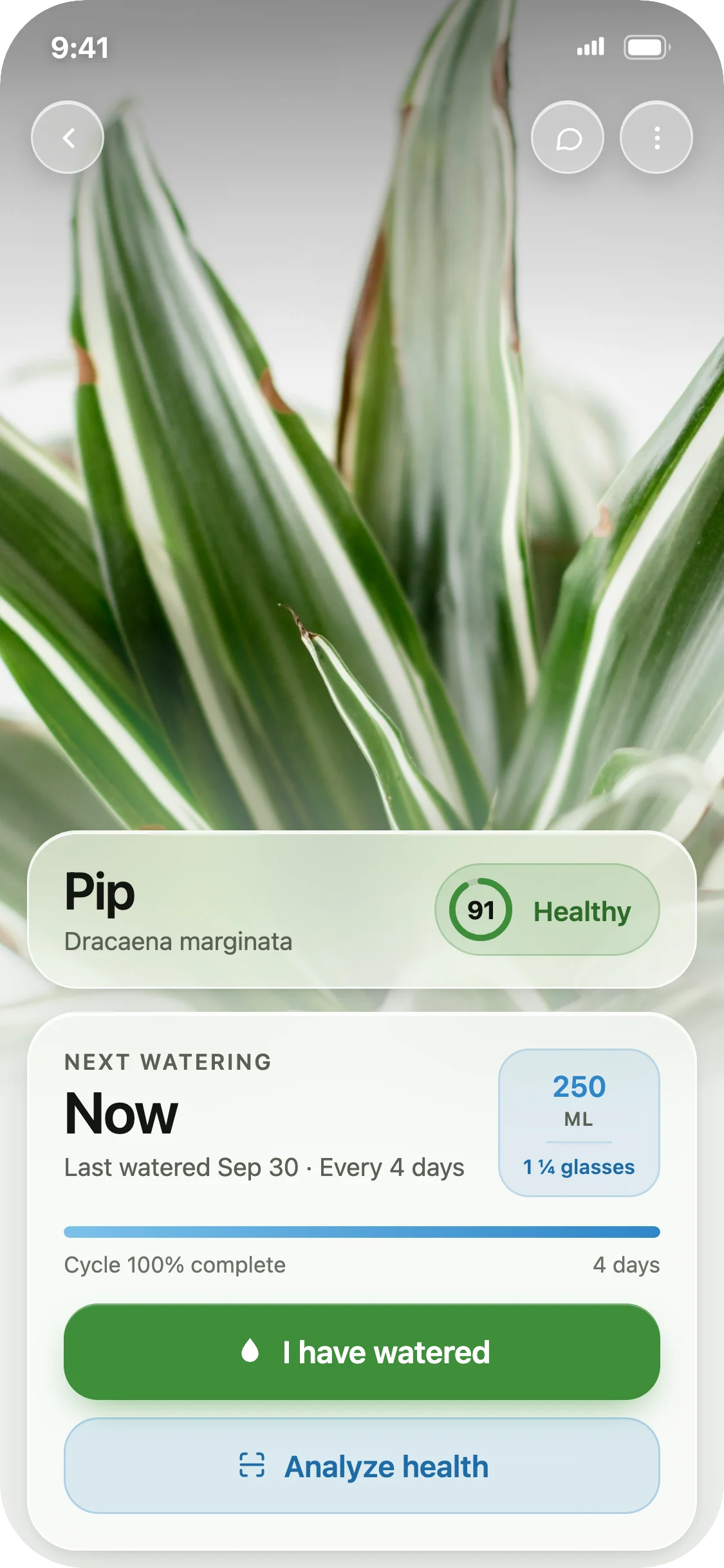 A plant's own screen in Botanly with its watering rhythm and history