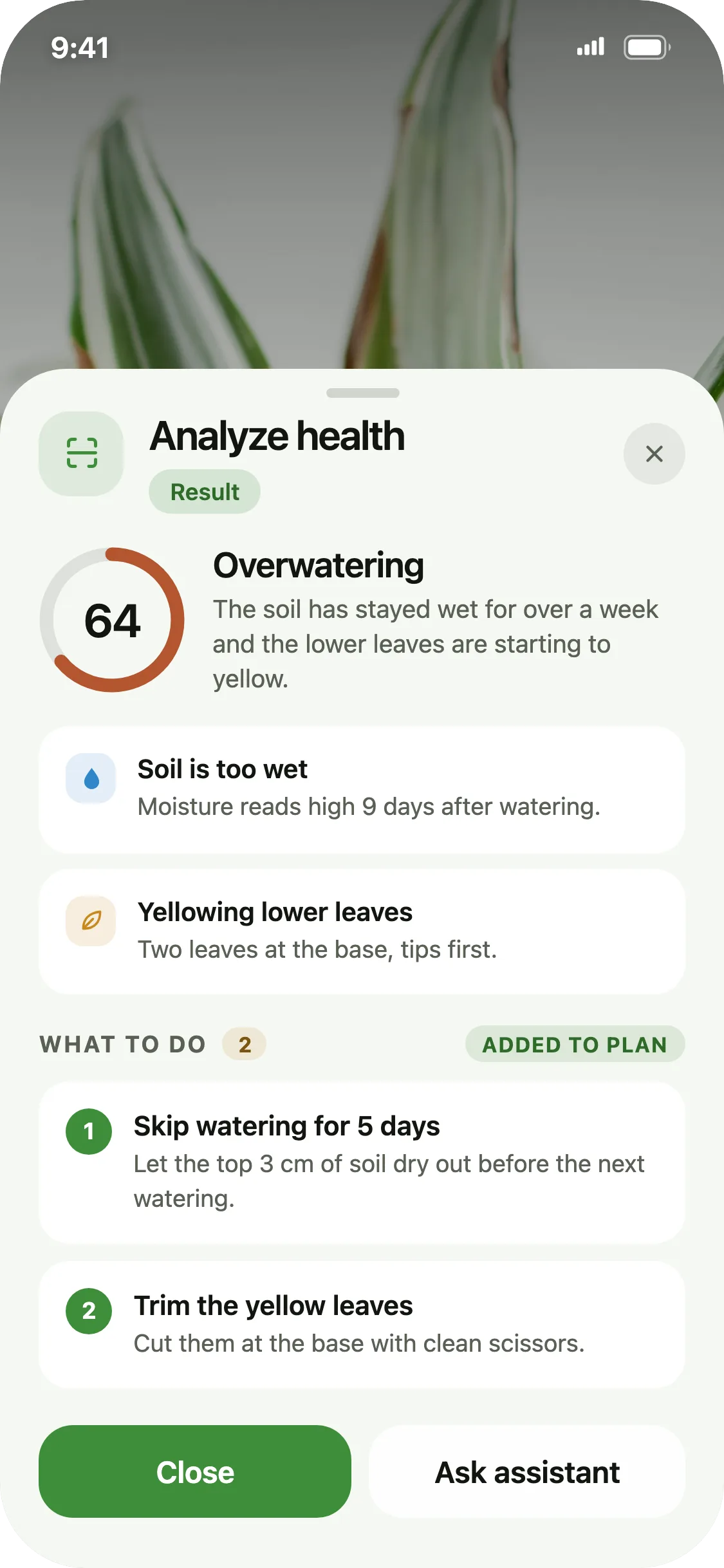 Botanly AI health check result diagnosing overwatering, with what to do