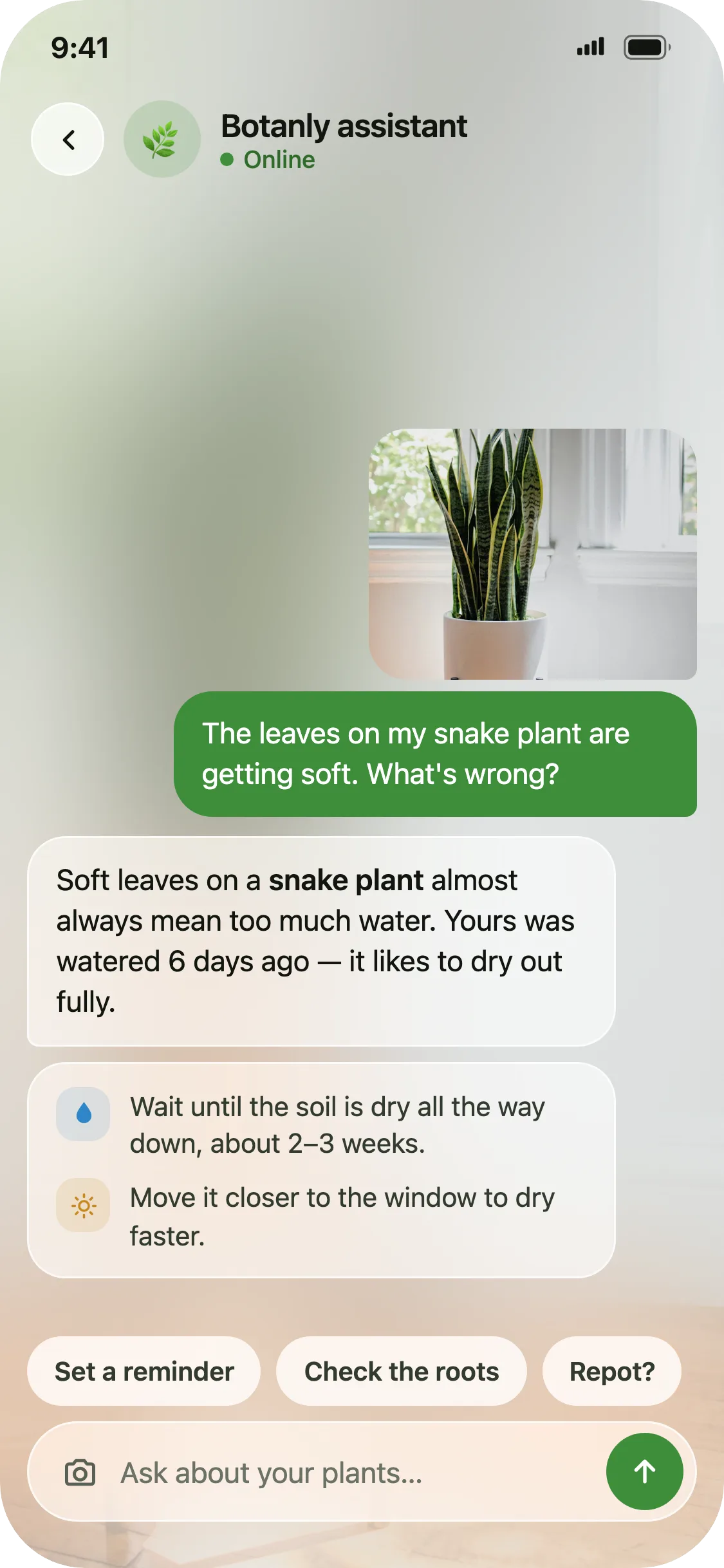 Chat with Botanly's AI plant assistant about a specific plant
