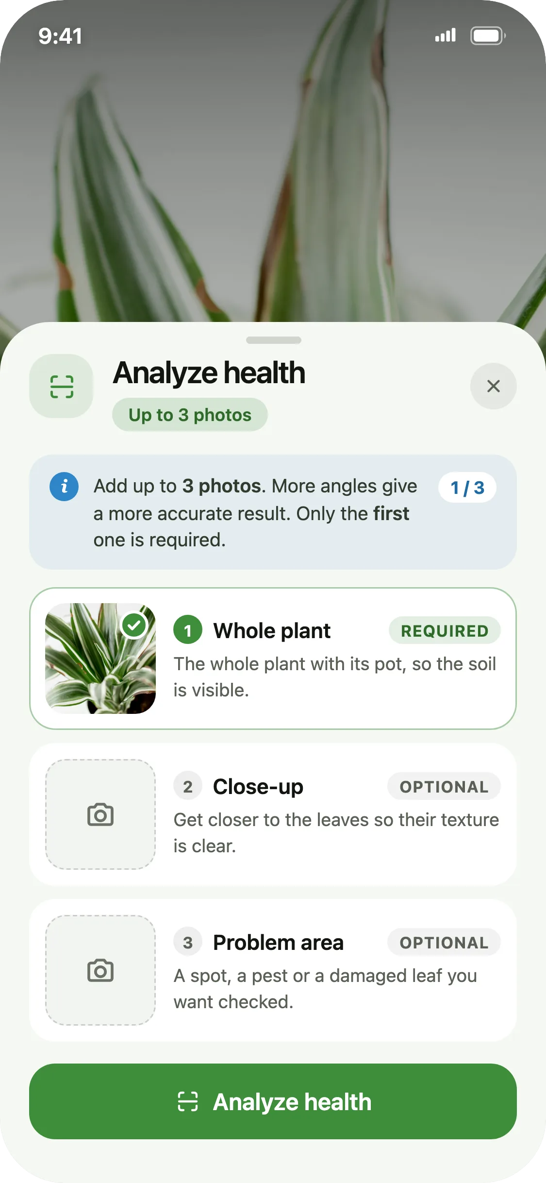 Uploading three photos to run a Botanly AI health check